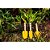 Conjunto para jardim com 3 peças cabos em madeira VONDER - Imagem 7