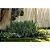 Mangueira para irrigação kit jardim 15 metros VONDER - Imagem 12