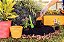 Conjunto para Jardinagem Tramontina em Plástico Colorido 3 Peças - Imagem 5