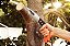 Serrote de Poda Metálico Fixo 12,5" /320 mm Tramontina com Cabo Emborrachado - Imagem 5
