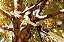 Serrote de Poda Profissional Metálico 13" / 330 mm Tramontina com Empunhadura Metálica sem Cabo - Imagem 4