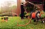 Mangueira Multi 1/2" Tramontina Laranja em PVC 3 Camadas 100 m - Imagem 6