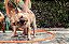 Mangueira Multi 1/2" Tramontina Laranja em PVC 3 Camadas 50 m - Imagem 2
