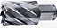 Broca anular encaixe Weldon 16mm x 30mm DEWALT - Imagem 1