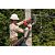 Cortador cabo a bateria 18V com 2 baterias e 1 carregador 220V RE-600 SC Cu/Al 57633 RIDGID - Imagem 3