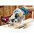 Serra de esquadria 10" 1.650W 127V LS1040 MAKITA - Imagem 3