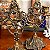 Elegantes castiçais em refinado bronze. (Cada) - Imagem 4