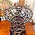Antigo vaso em cristal Ruby - Imagem 5