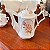 Antigo e delicado conjunto “cafezinho” em porcelana Germer - Imagem 7