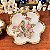 Conjunto com 3 antigos pratinhos de porcelana - Imagem 5