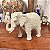 Elegante elefante indiano - Imagem 1