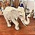 Elegante elefante indiano - Imagem 2