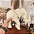 Elegante elefante indiano - Imagem 7