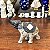 Elegante elefante indiano. - Imagem 3