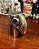 Elefante indiano em porcelana. - Imagem 5