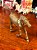 Escultura em bronze de cavalo - Imagem 7