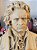 Busto de Ludwig van Beethoven. - Imagem 8