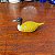 Antigo Apontador Pato – Décadas de 70/80. - Imagem 1