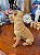 Escultura Antiga em Resina Shar-Pei – Italy Style - Imagem 3