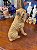Escultura Antiga em Resina Shar-Pei – Italy Style - Imagem 5