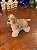 Bibelô Antigo Cocker Spaniel – Arte De Angeli (Made in Italy). - Imagem 2