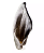 Orelha Bovina Preciosa - 1 und. - Imagem 3