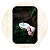 Incenso Sagrada Madre Cone Linha Cannabis Lemon Haze - Imagem 5