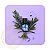 Óleo Essencial Sagrada Madre - Lavanda - Imagem 3