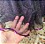 Saia tule/glitter preta com forro roxo - Imagem 4