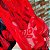 Xale vermelho - Imagem 3