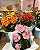Tag de Cachepot (Kit 10 unidades) - Imagem 4