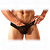 Cueca Sexy de Tule Cintura Fina - Imagem 1