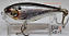 Bagley Super Stinger 3 - Imagem 2