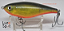 Rapala X-Rap Twitchin' Mullet 8 - Imagem 2