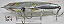 Livetarget Scaled Sardine 115F - Imagem 3
