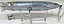 Tackle House Feed Popper 135 - Imagem 3
