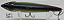 Megabass Dog-X (W) - Imagem 4