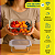 Pote de Vidro 640ml Hermético 5 Peças Livre de BPA - Imagem 5