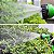 Mangueira Jardim Magica Retrátil Flexível Irrigação Elásticas Expansível 7 Tipos De Jato - Imagem 5
