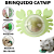 Brinquedo Gato Parede Catnip Para Gatos Erva Catinip Natural Interativo Pet Bolinha Adesiva Felino - Imagem 1