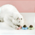 Brinquedo Gato Parede Catnip Para Gatos Erva Catinip Natural Interativo Pet Bolinha Adesiva Felino - Imagem 6