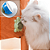 Brinquedo Gato Parede Catnip Para Gatos Erva Catinip Natural Interativo Pet Bolinha Adesiva Felino - Imagem 2