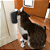 Kit Brinquedo para Gato com Catnip + Escova de Parede e Bolinha Adesiva - Imagem 7