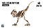 Velociraptor - Coleção Dino 3D - Imagem 1