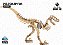 Velociraptor - Coleção Dino 3D - Imagem 3