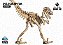 Velociraptor - Coleção Dino 3D - Imagem 4