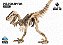 Velociraptor - Coleção Dino 3D - Imagem 2