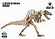 Espinossauro - Coleção Dino 3D - Imagem 3