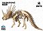 Triceratopes - Coleção Dino 3D - Imagem 4