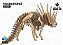 Triceratopes - Coleção Dino 3D - Imagem 2